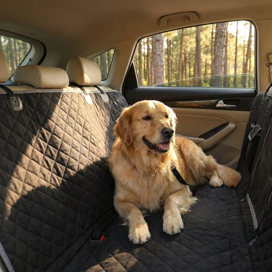 Dog sitting in the back of a car with a quilted black cover on the floor.